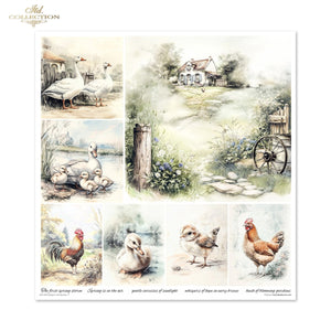 Cottage in the Country Scrapbooking Papier-Set  200 g/m2 310x320 mm 11 Bögen