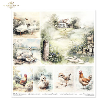 Cottage in the Country Scrapbooking Papier-Set 200 g/m² 310x320 mm 11 Bögen