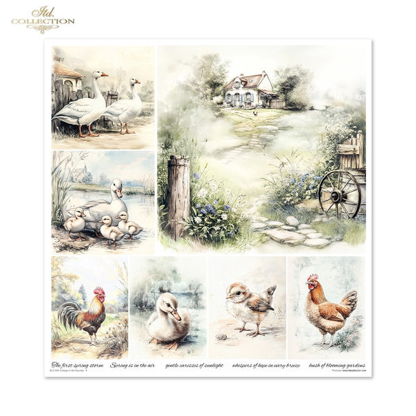 Cottage in the Country Scrapbooking Papier-Set  200 g/m2 310x320 mm 11 Bögen