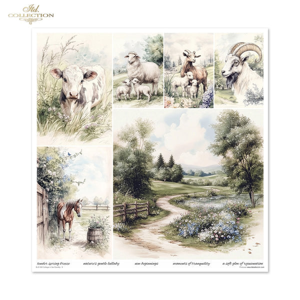 Cottage in the Country Scrapbooking Papier-Set  200 g/m2 310x320 mm 11 Bögen