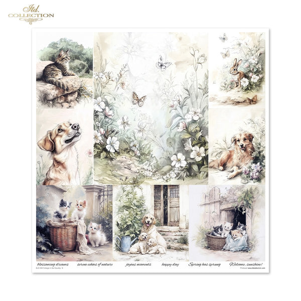 Cottage in the Country Scrapbooking Papier-Set  200 g/m2 310x320 mm 11 Bögen