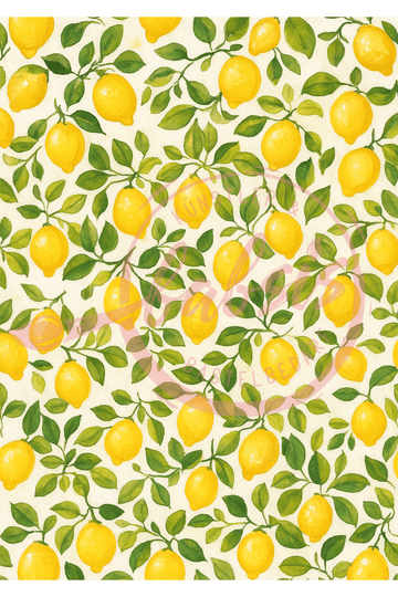 Reispapier Decoupage Zitronen Hintergrund A4 25-30g/m² 1 Bogen