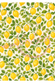 Reispapier Decoupage Zitronen Hintergrund A4 25-30g/m² 1 Bogen