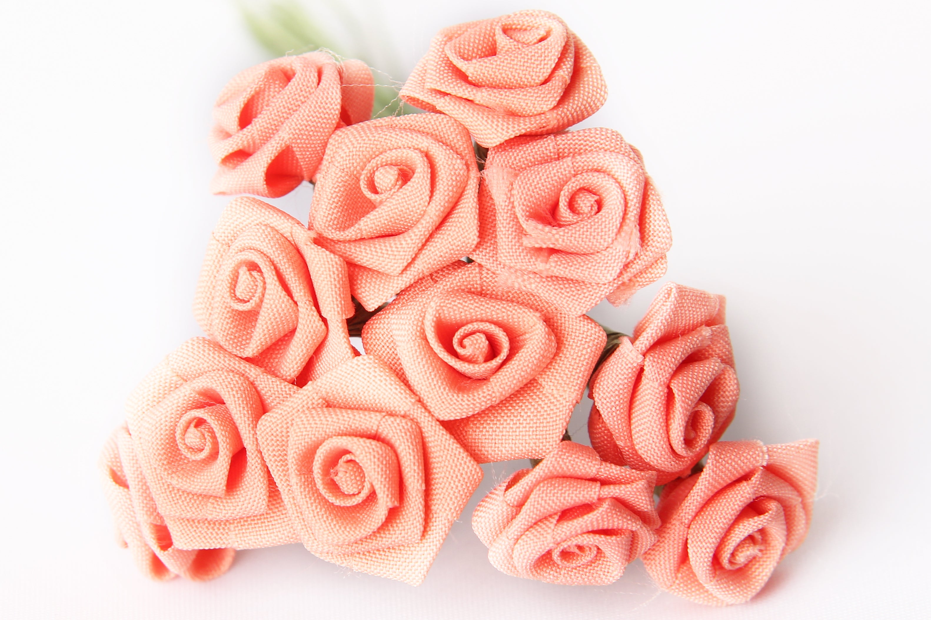 Diorröschen lachs 14mm 12 Stk/Bund