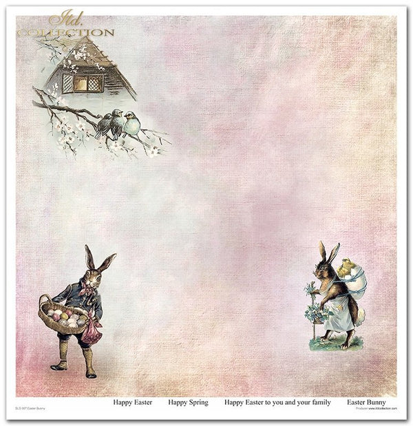 Easter Bunny Papier-Set 320x310mm 200g 11 Blatt