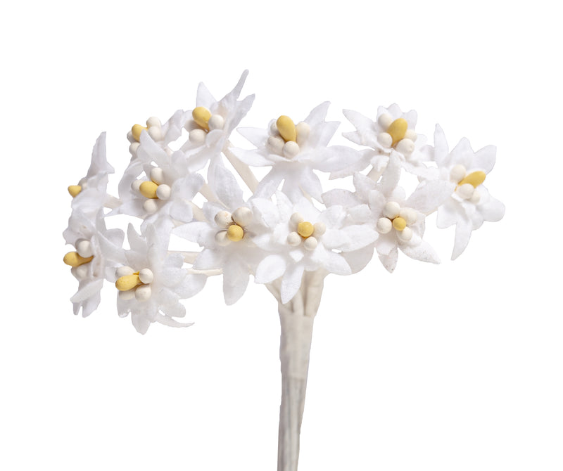 Edelweiß ⌀ 20mm 12 Stück/Bund