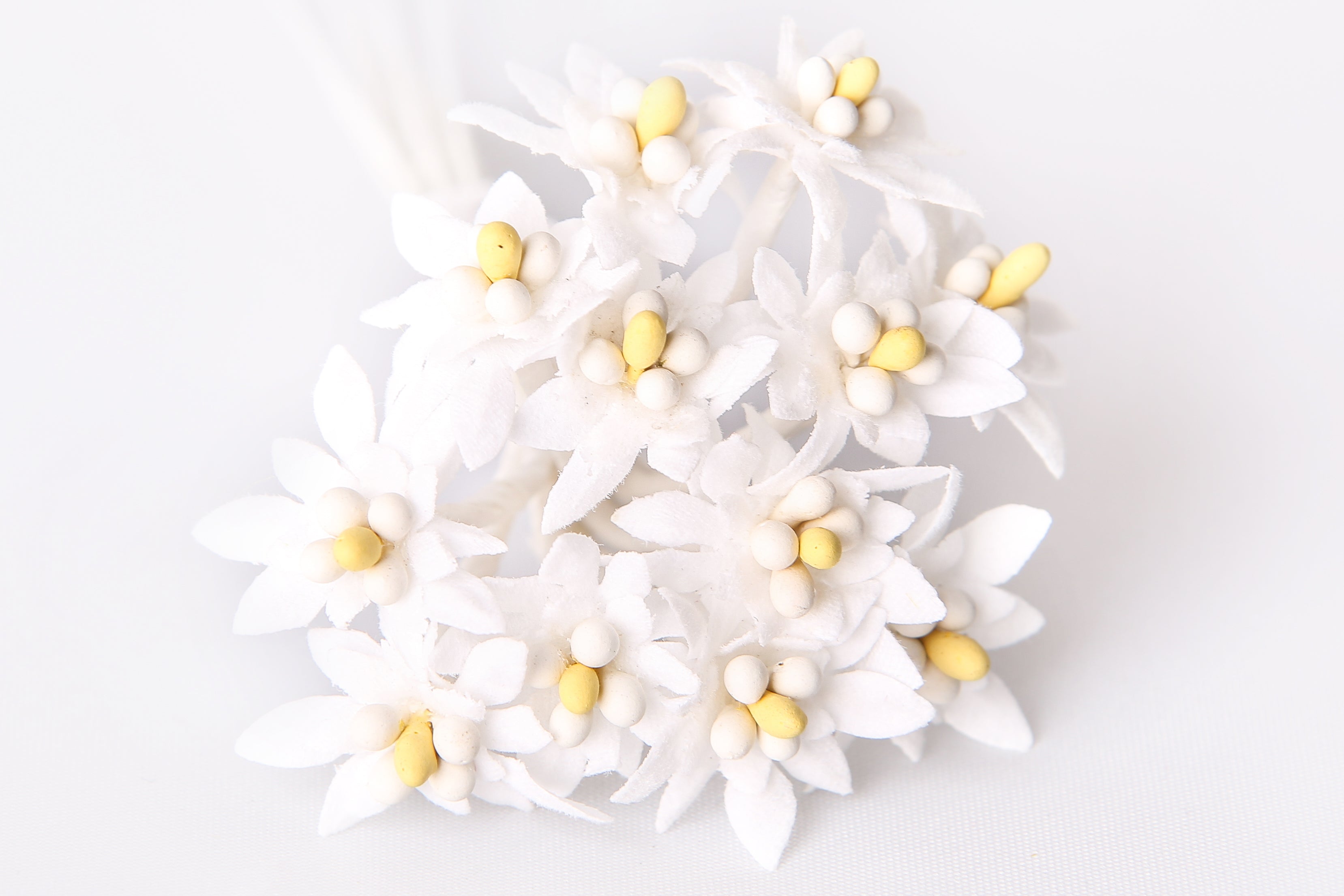 Edelweiß ⌀ 20mm 12 Stück/Bund