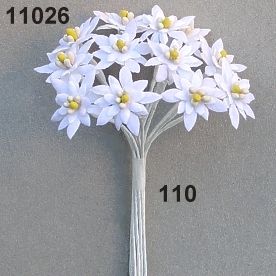 Edelweiß ⌀ 20mm 12 Stück/Bund