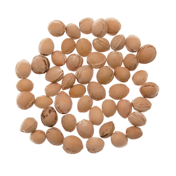 Füllmaterial Kirschkerne natur 500g