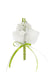 Gästeanstecker Stäbe Perlblumen Tülldior creme Sisalblatt