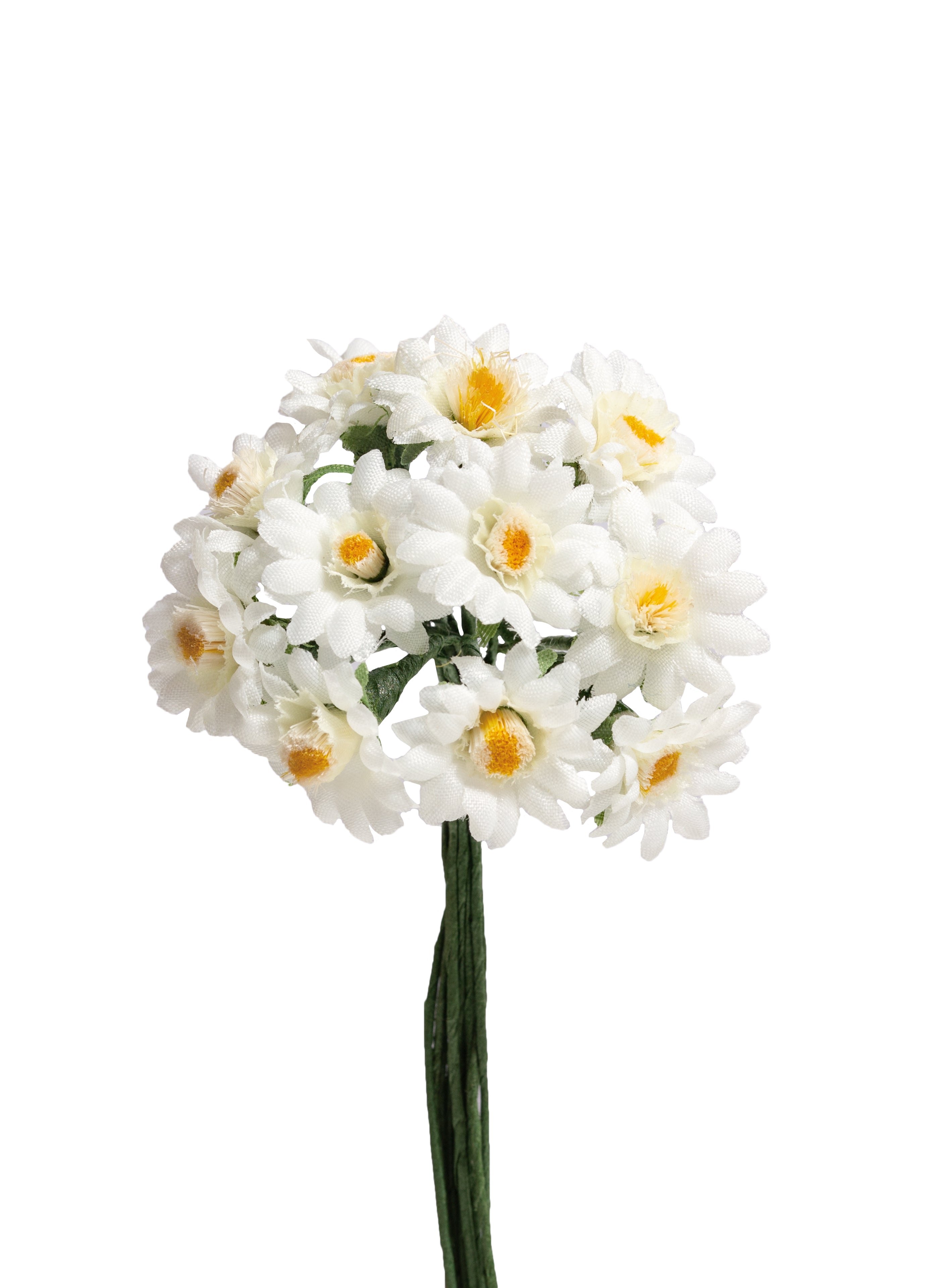 Gerbera mini creme 3cm 6 Stk./Bd.