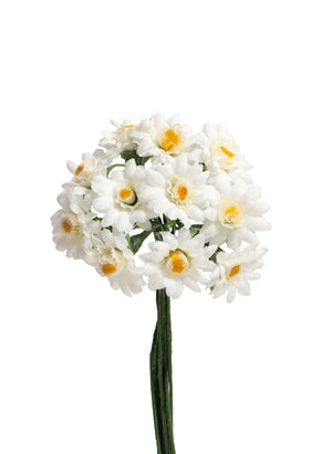 Gerbera mini creme 3cm 6 Stk./Bd.