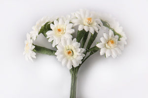 Gerbera mini creme 3cm 6 Stk./Bd.