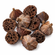 Lotuskolben Naturmaterial braun-natur 4-6cm 12 Stück