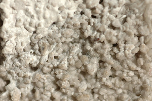 Golden Extra Coarse Pumice Gel extrem grobkörniges Bimssteingel 237ml