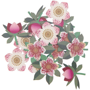 Holz-Streu Christrose 24x23 - 30x31mm 24 Stk