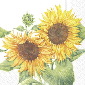 IHR Servietten Mirasol Sonnenblumen 3-lagig 33x33cm 20 Stück / Packung