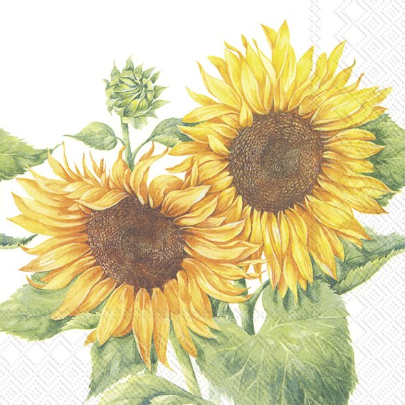 IHR Servietten Mirasol Sonnenblumen 3-lagig 33x33cm 20 Stück / Packung