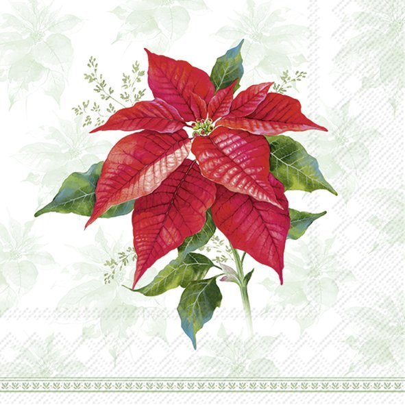 IHR Servietten Classic Weihnachtsstern FSC Mix 33x33cm 20 Stück