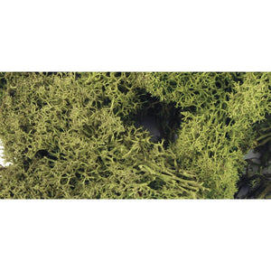 Islandmoos hellgrün 100g