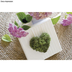 Islandmoos hellgrün 100g