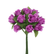 Kleinblumen Kugelröschen rotviolett 12 Stk./Bund