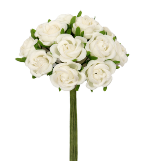Kleinblumen Samtröschen champagner 22mm 12 Stk./Bund