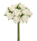 Kleinblumen Samtröschen champagner 22mm 12 Stk./Bund