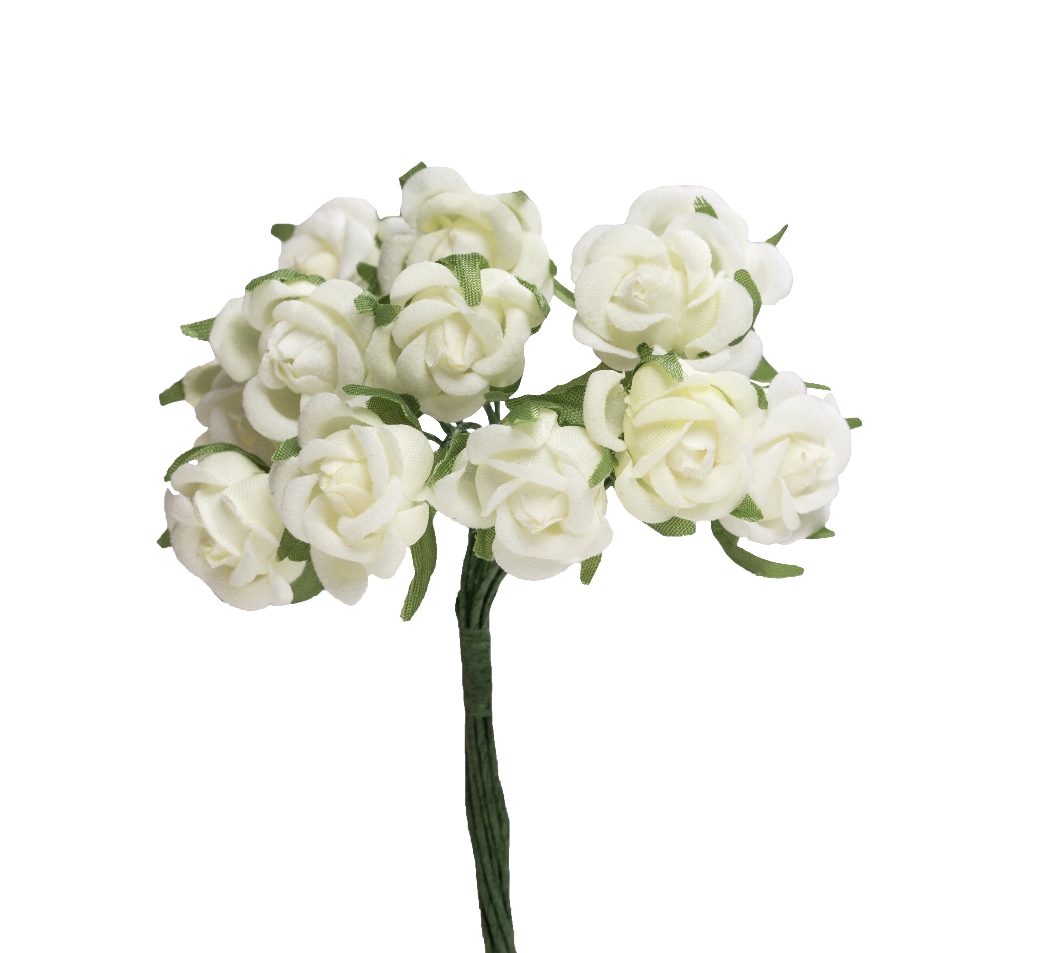 Kleinblumen Samtröschen champagner 22mm 12 Stk./Bund