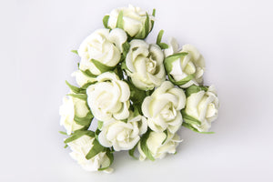 Kleinblumen Samtröschen champagner 22mm 12 Stk./Bund