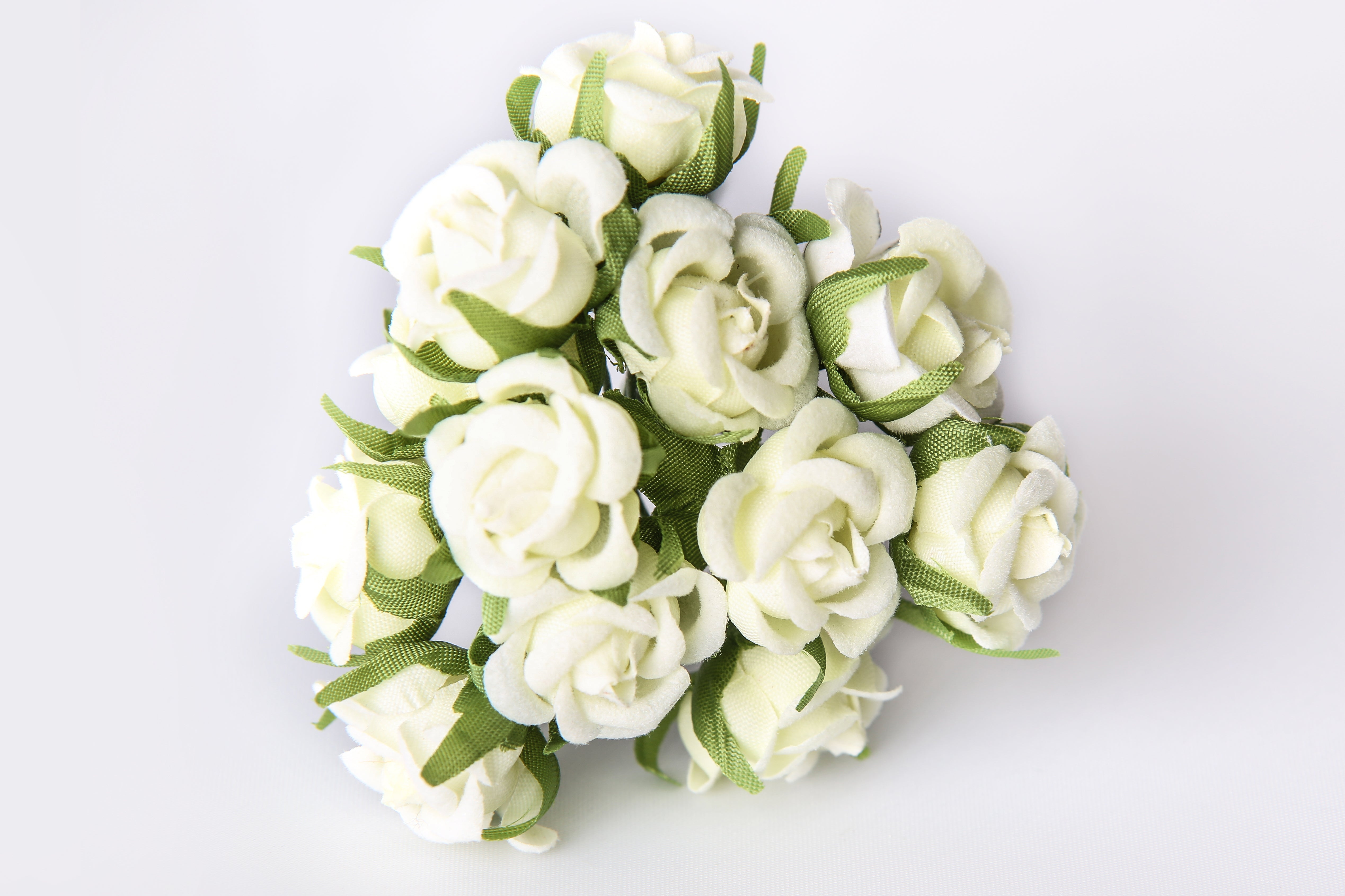 Kleinblumen Samtröschen champagner 22mm 12 Stk./Bund