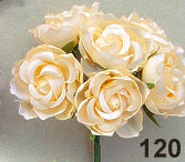 Kletterrose Mirabelle, 28 mm, 6 Stück/Bund