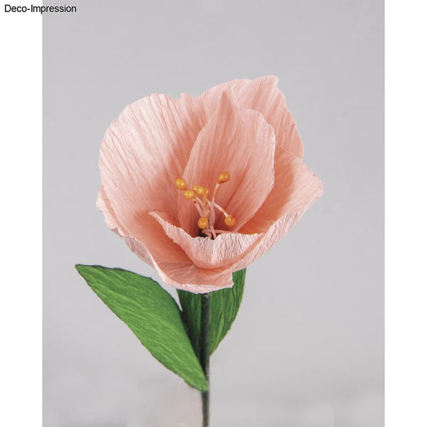 Krepppapier Blumen Set bunt sortiert 105g/m² / Box