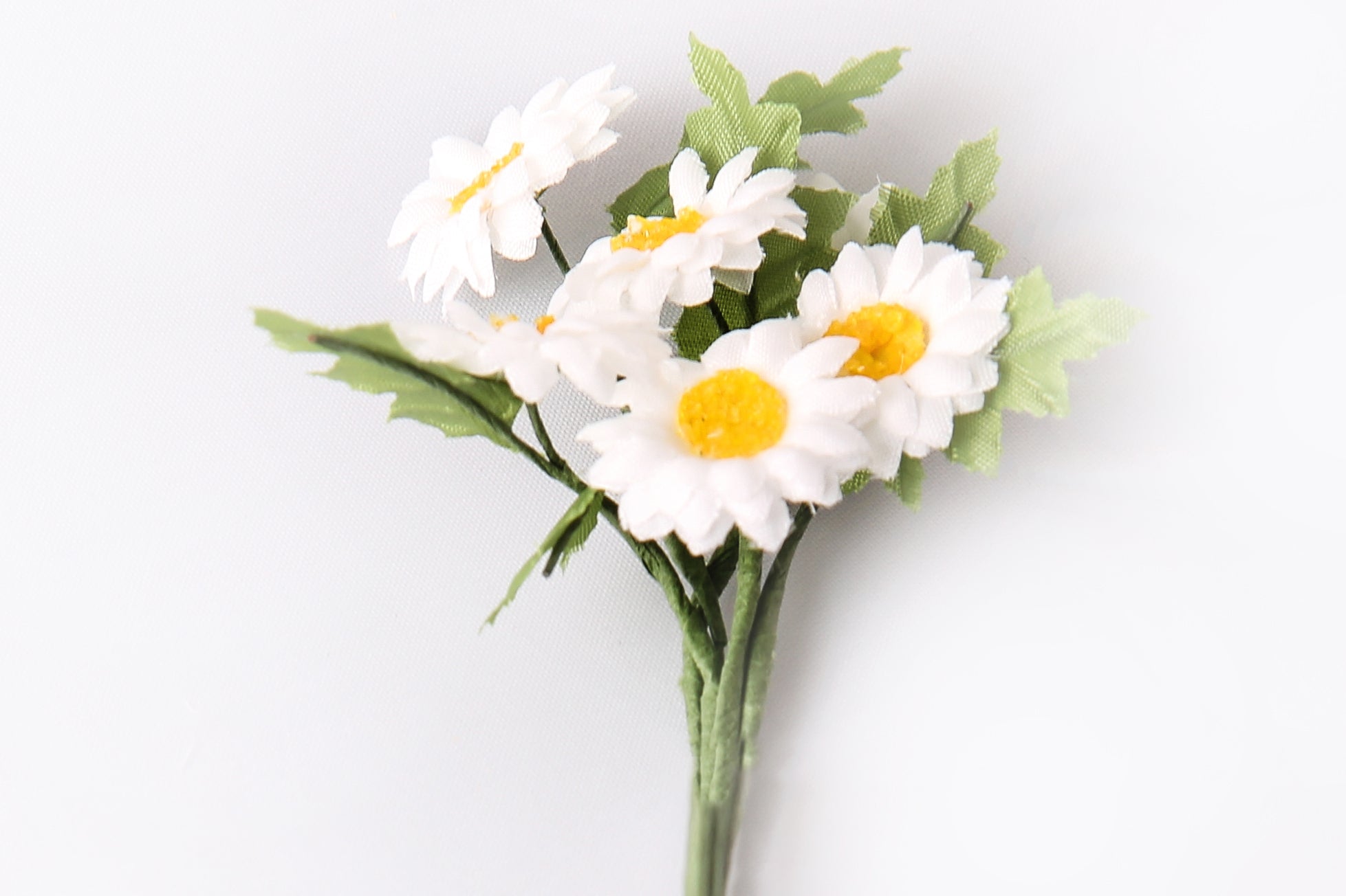 Kleine Margariten, Blüte ca. 20 mm, pro Bund