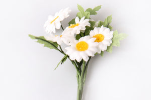 Kleine Margariten, Blüte ca. 20 mm, pro Bund