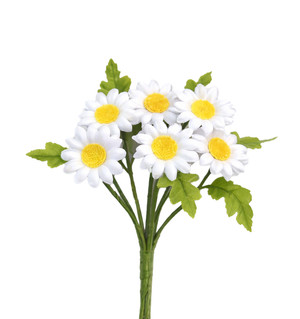 Kleine Margariten, Blüte ca. 20 mm, pro Bund