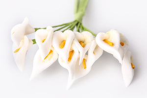 Mini-Calla Schaummaterial weiß 14mm 12 Stück/Bd