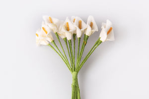 Mini-Calla Schaummaterial weiß 14mm 12 Stück/Bd