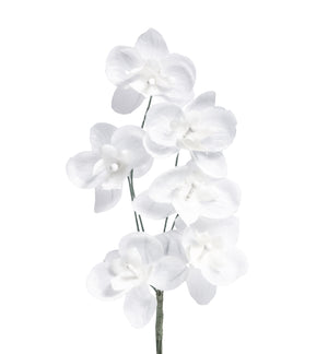 Miniorchidee weiß, 6 Blüten, 35 mm Durchmesser,