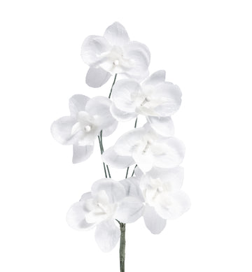 Mini-Orchidee weiß 35mm 6 Blüten