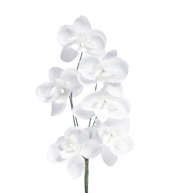 Mini-Orchidee weiß 35mm 6 Blüten