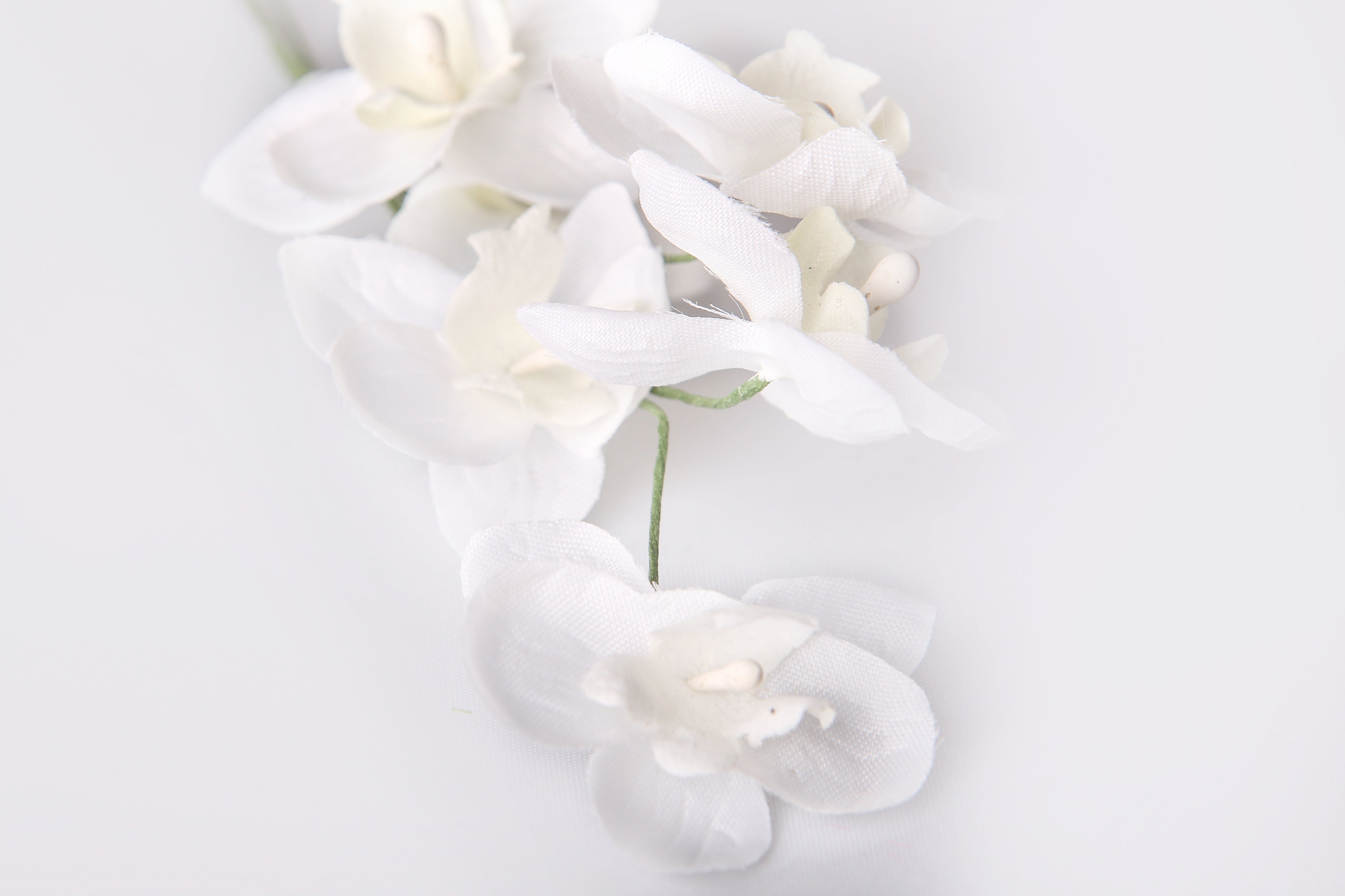 Miniorchidee weiß, 6 Blüten, 35 mm Durchmesser,