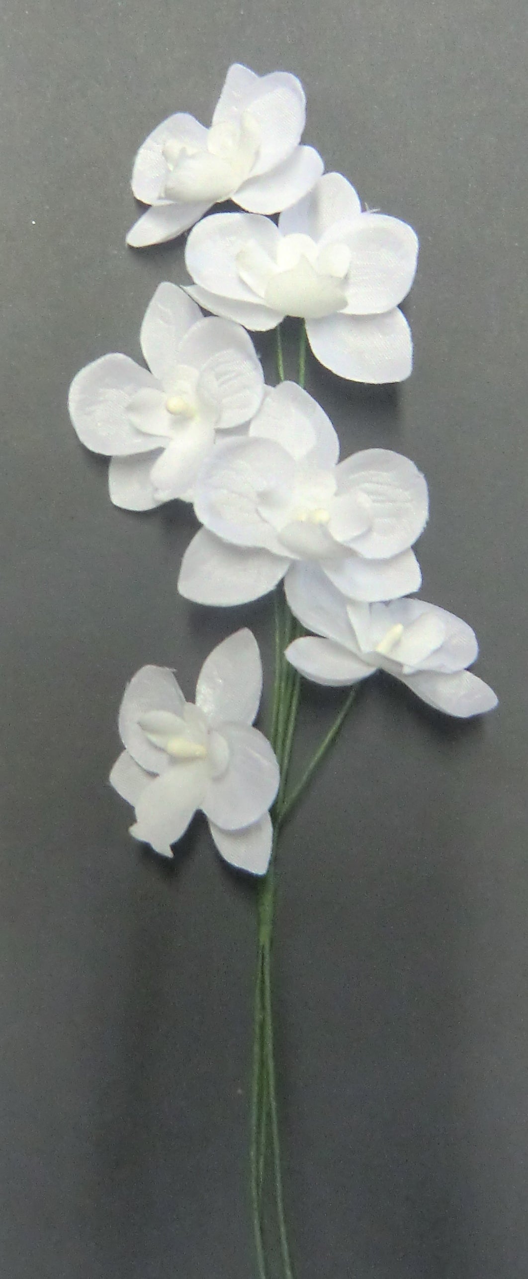 Miniorchidee weiß, 6 Blüten, 35 mm Durchmesser,