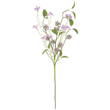 Pflücker Wildblume 56 cm 1 Stück