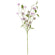 Picker Wildblume 56cm 1 Stück