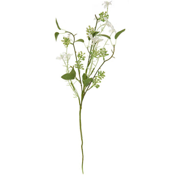 Pflücker Wildblume 56 cm 1 Stück