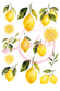 Reispapier Decoupage Zitronen Watercolor A4 25-30g/m² 1 Bogen