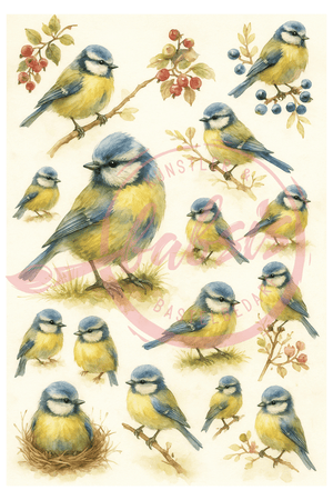 Reispapier Vogel Meise blau gelb A4 25-30g/m² 1 Bogen