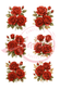 Reispapier rote Rosen A4 25-30g/m² 1 Bogen