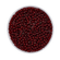 Rocailles Glasperlen granatrot transparent 2,6mm 17g/Dose